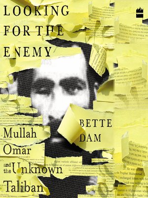 cover image of Looking for the Enemy